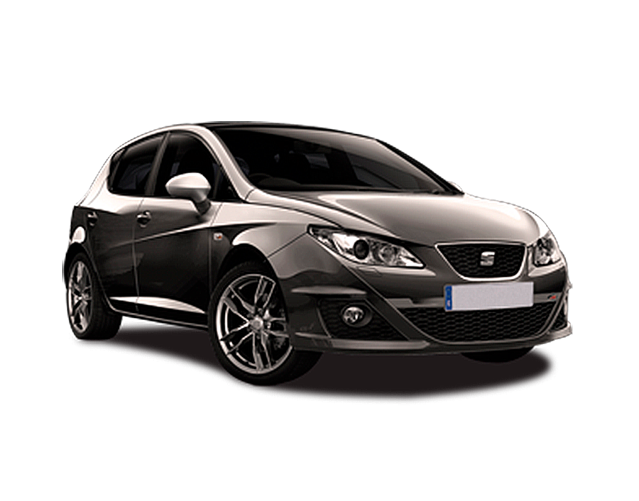 SEAT IBIZA 6J